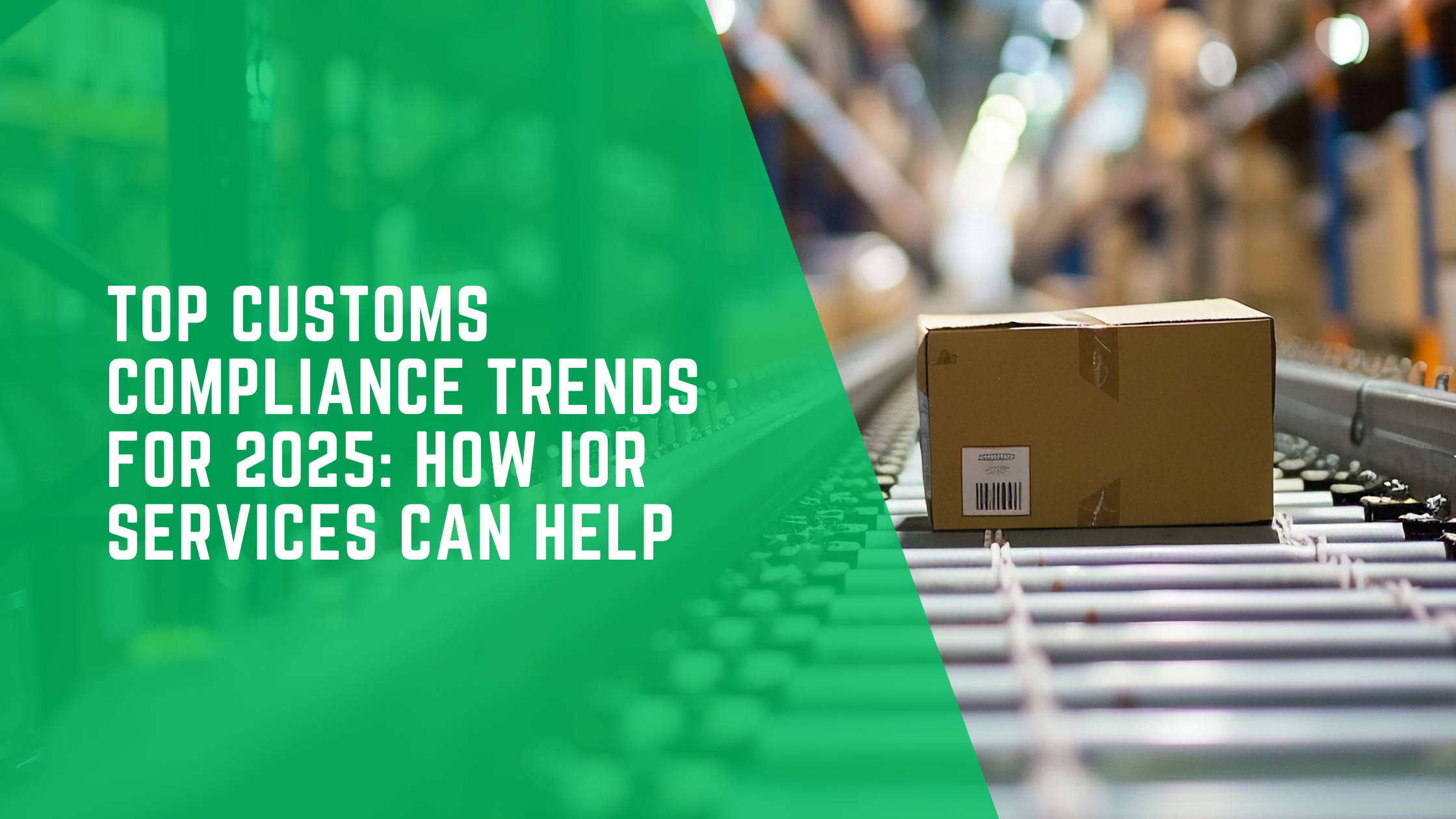 Top Customs Compliance Trends for 2025: How IOR Services Can Help