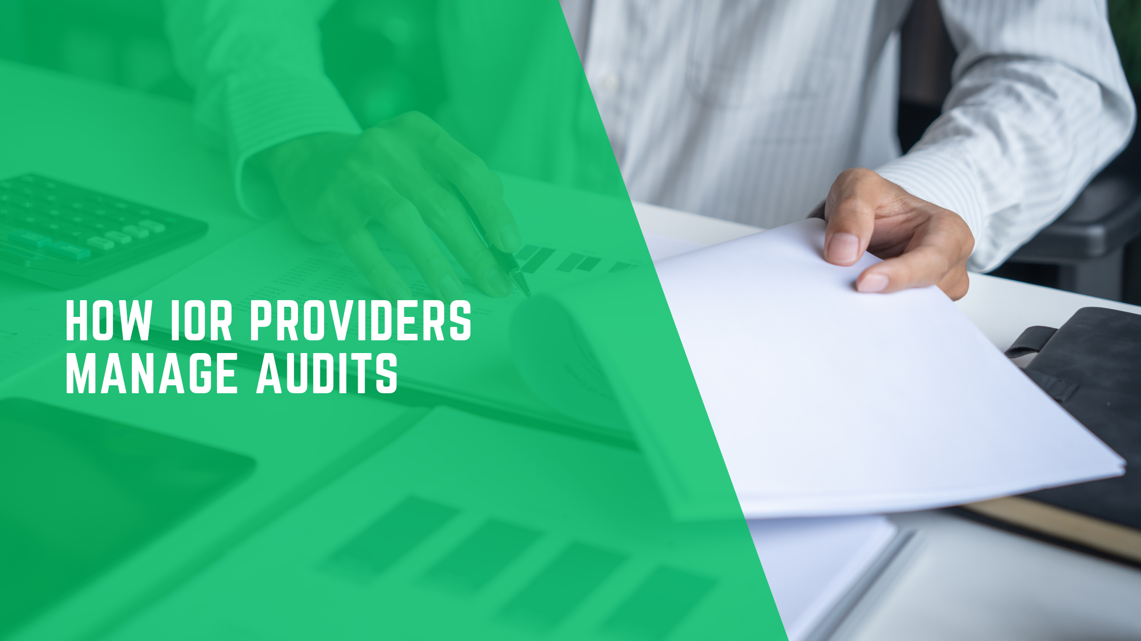 How IOR Providers Manage Audits